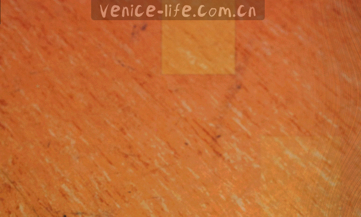 拱廊剪影与暖金透光的框景，右侧留出空白